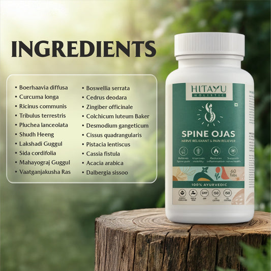 Spine Ojas | Ayurvedic Spine & Mobility Wellness Support