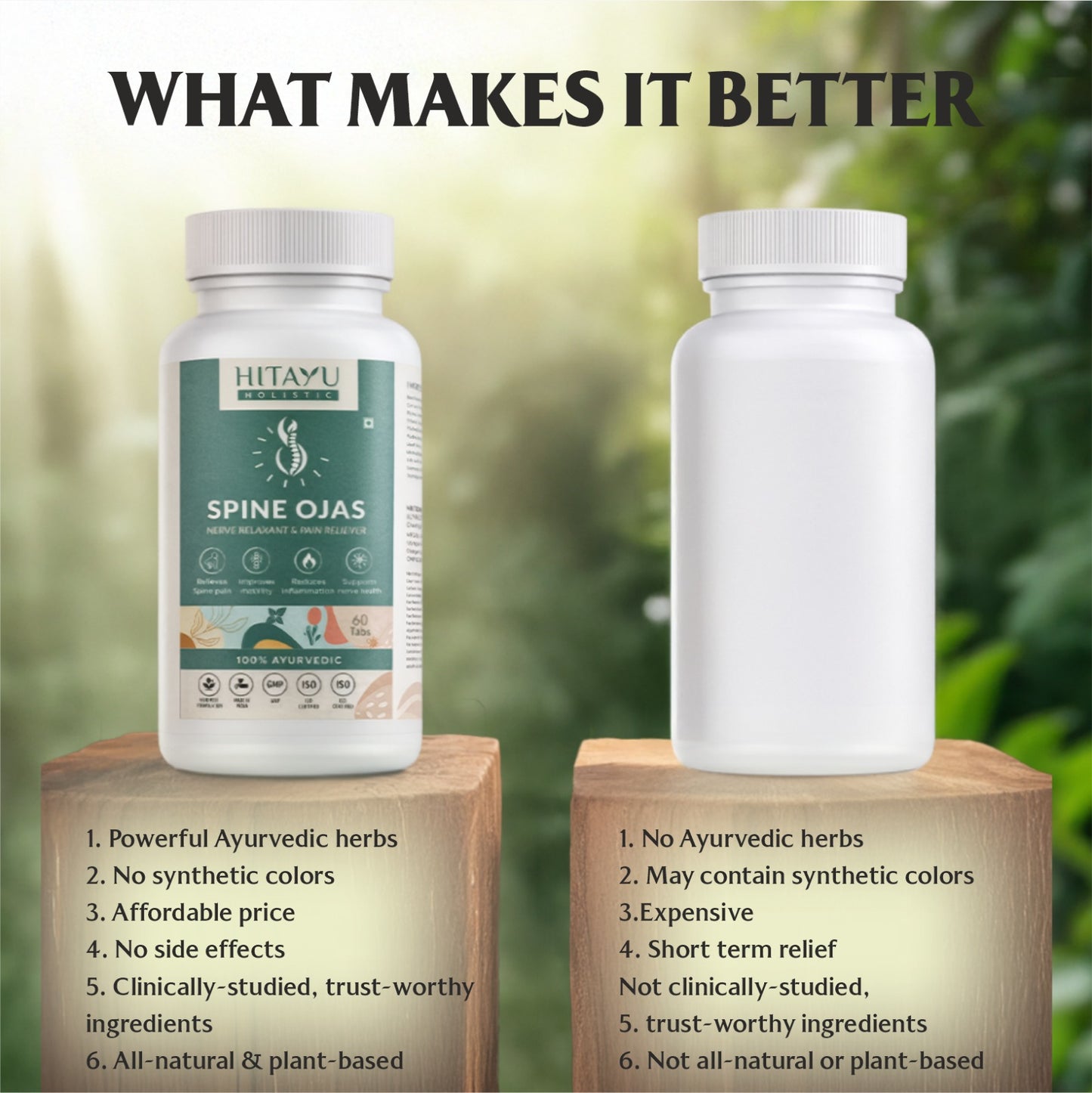 Spine Ojas | Ayurvedic Spine & Mobility Wellness Support