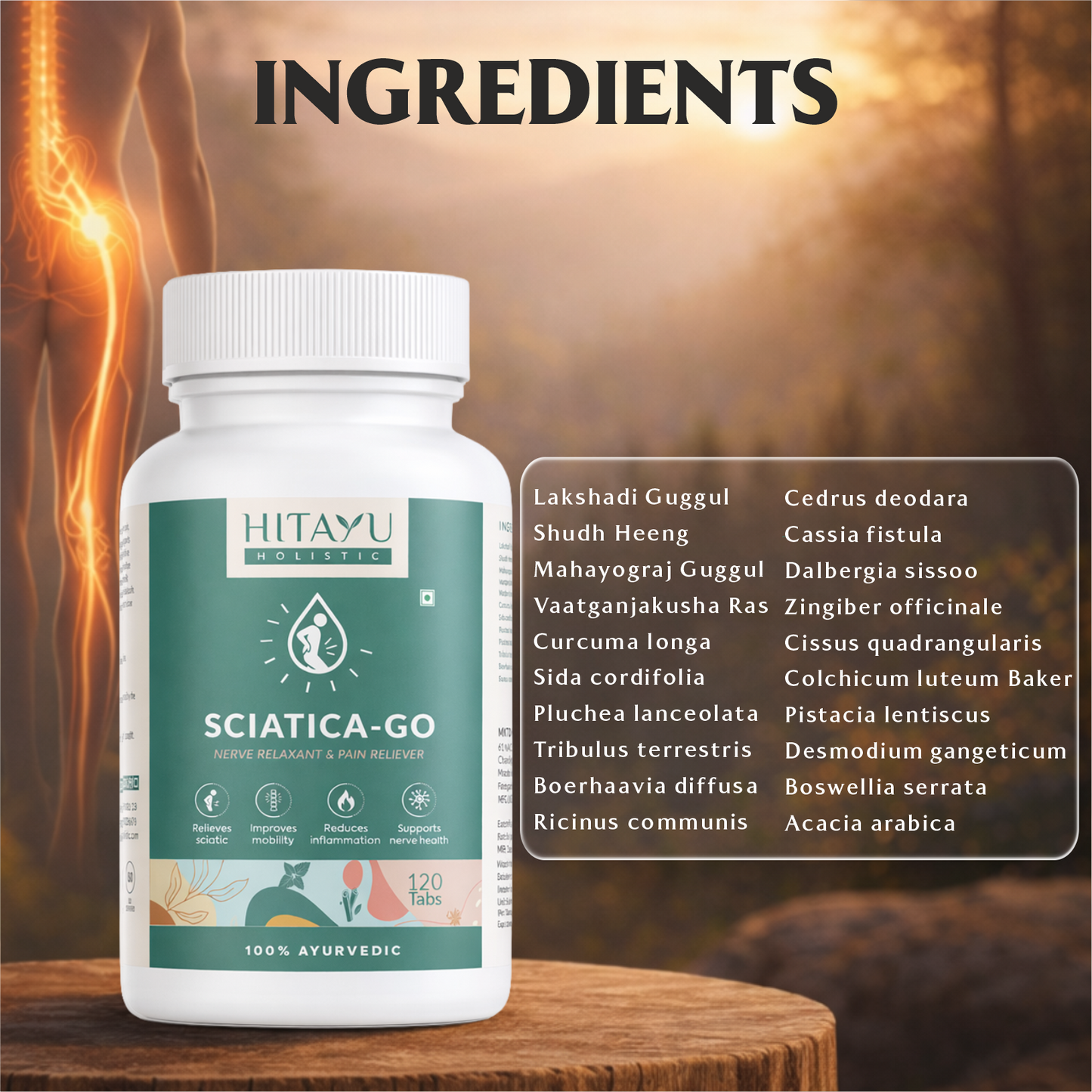 Sciatica Go | Ayurvedic Nerve & Mobility Wellness Support