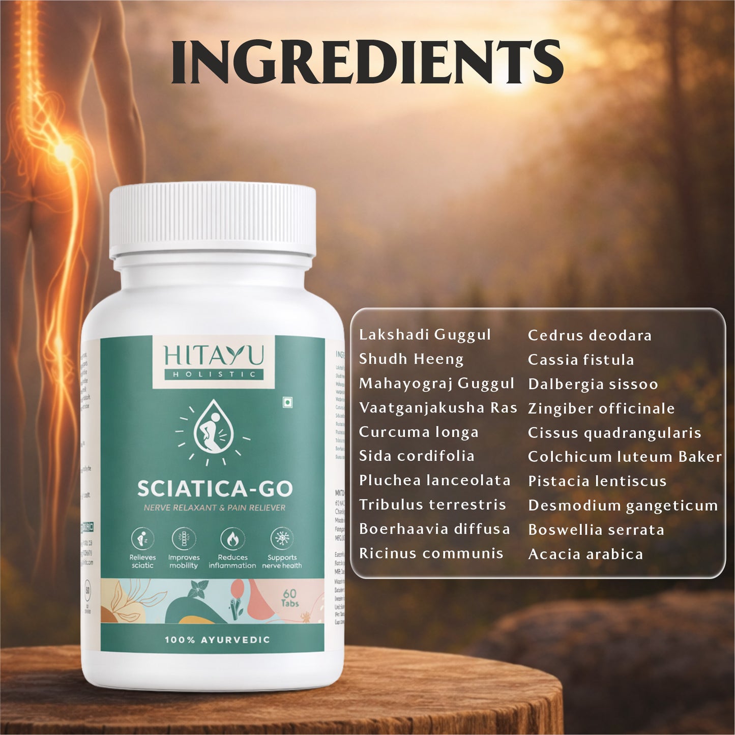 Sciatica Go + Spine Ojas Combo | Ayurvedic Spine & Nerve Wellness Combo