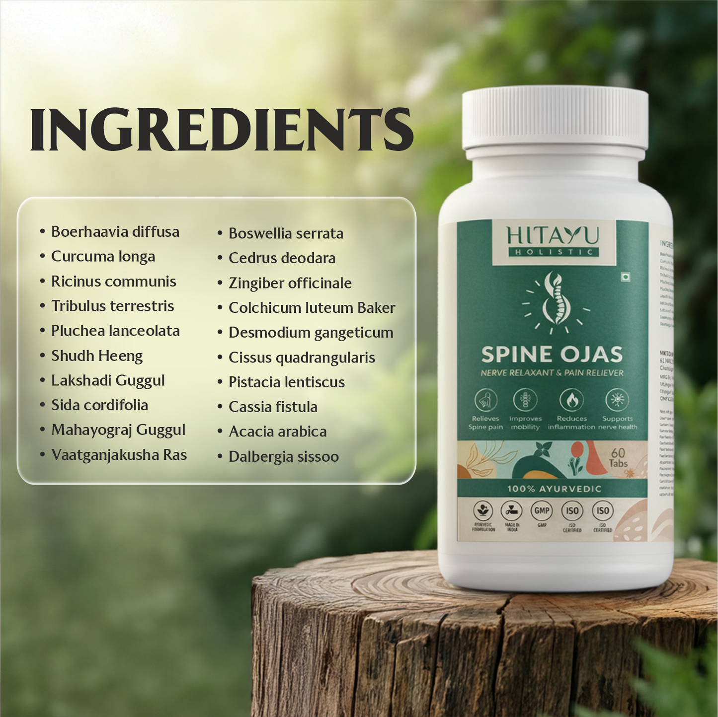 Sciatica Go + Spine Ojas Combo | Ayurvedic Spine & Nerve Wellness Combo