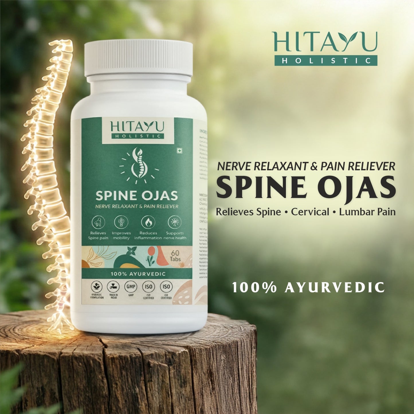 Spine Ojas | Ayurvedic Spine & Mobility Wellness Support